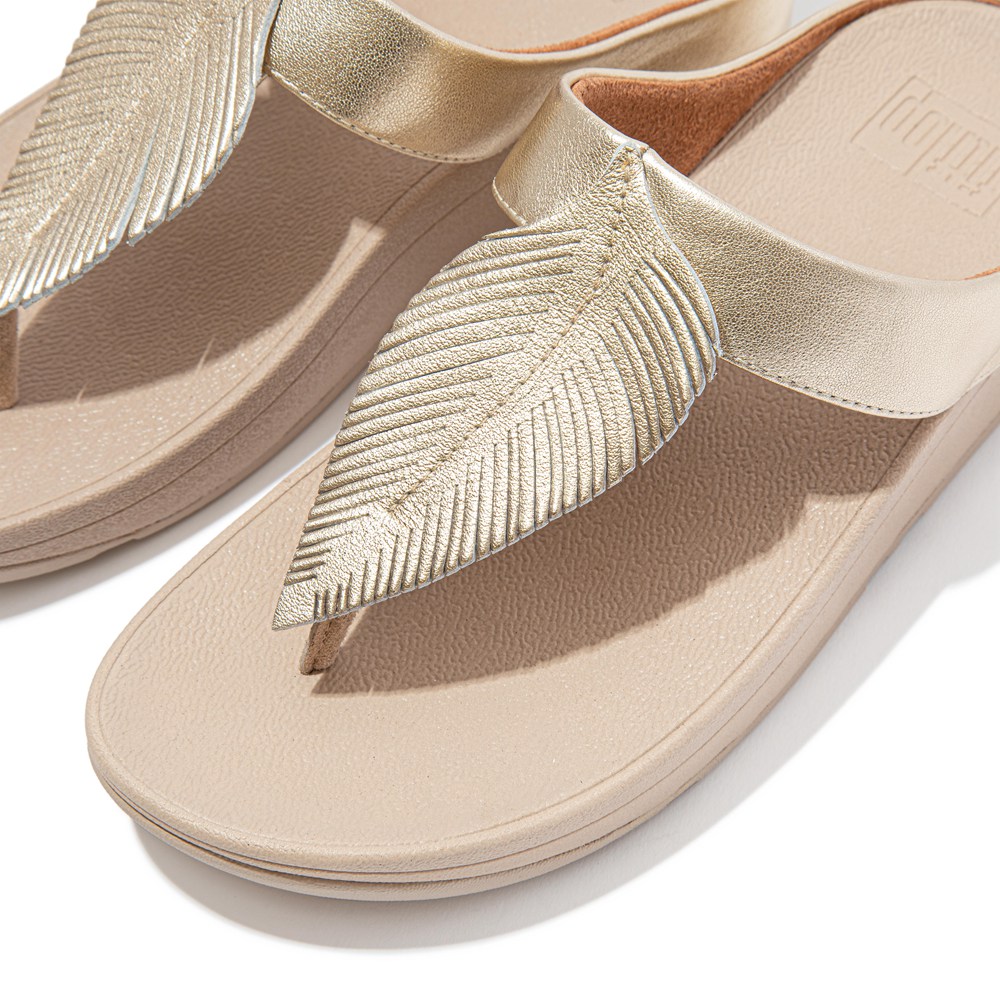 Fitflop Womens Sandals - Fino Feather Metallic Toe-post - Gold - 657-XECOUV